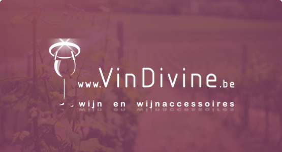 Voorbeeld webshop vindivineshop.be